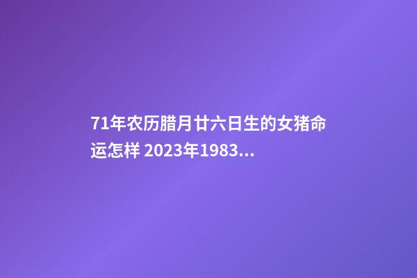 71年农历腊月廿六日生的女猪命运怎样 2023年1983年农历5月19日属猪的运势？-第1张-观点-玄机派